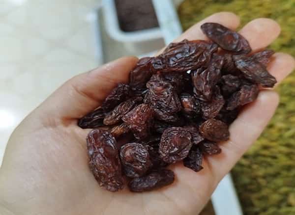 تصویر 3 از قیمت کشمش فخری ملکان با فروش عمده